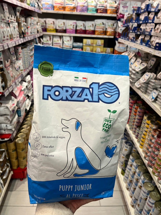 Forza 10 mini puppy